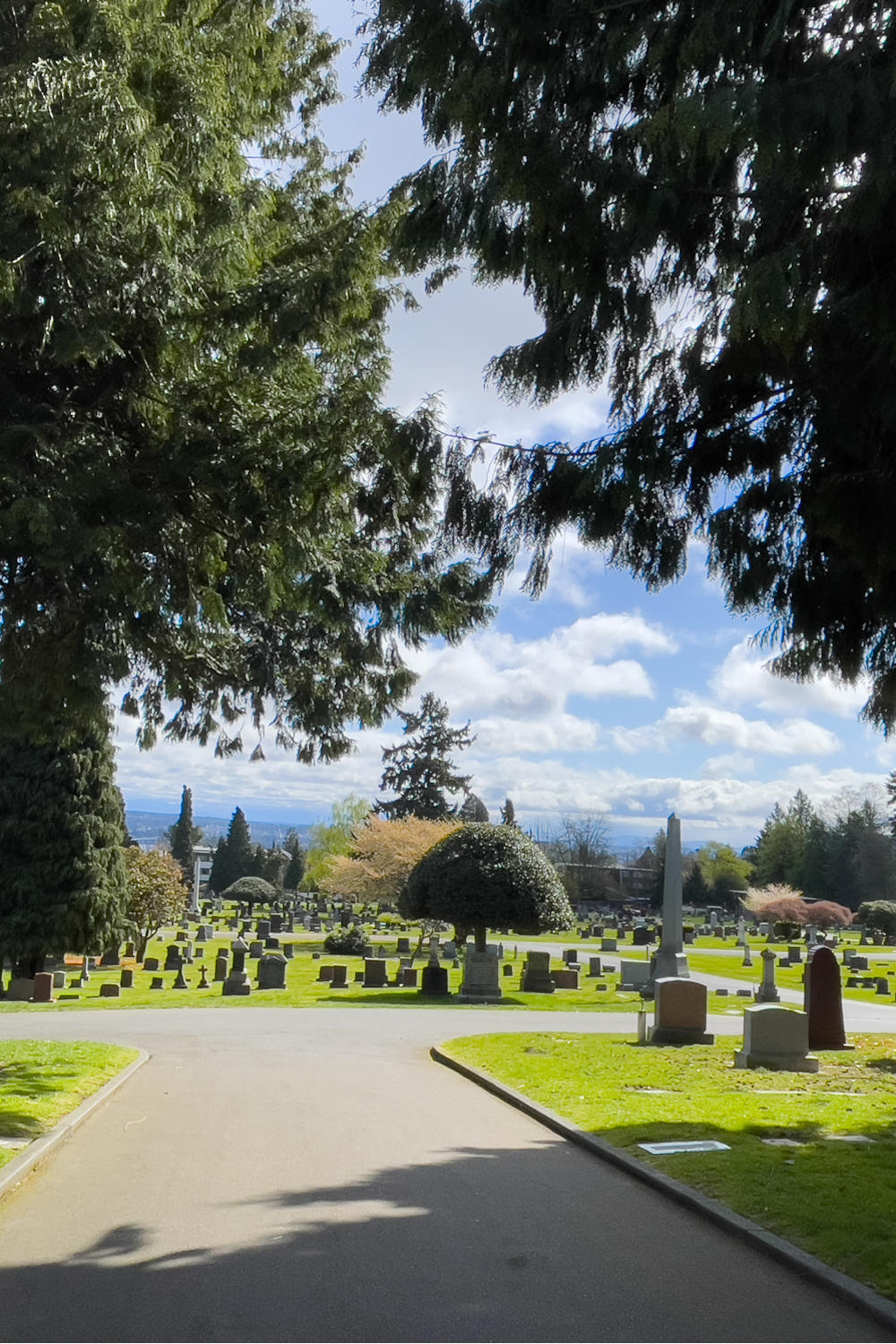 shade trees throughout cemetery