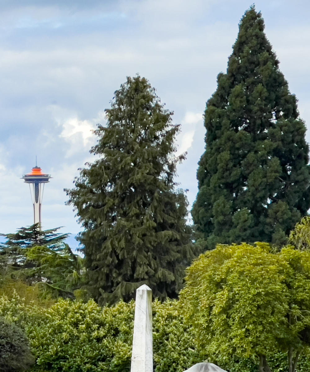 trees and shrubs at Lakeview with Space Needle in the background