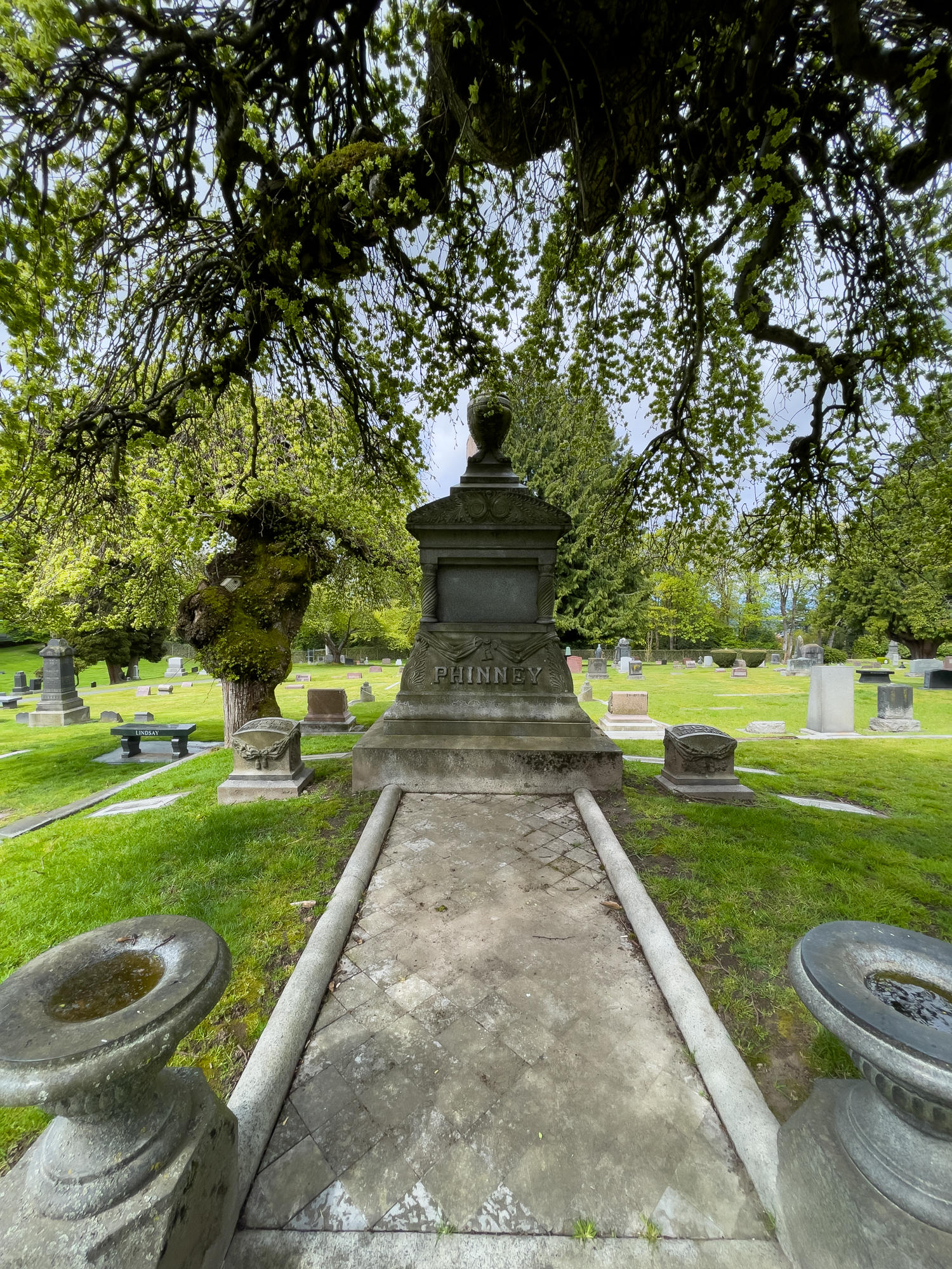 trees shading a grave